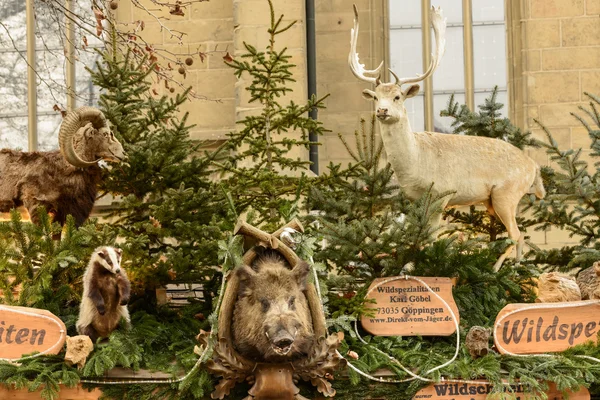 Boar deer and badger between spruce branches  on stall roof at X — Stock Photo, Image