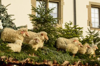 koyun sürüsü Xmas ma durak çatıda çam dalları arasında