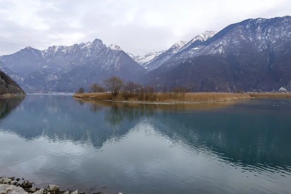 Gorve de roseaux sur le lac Mezzola en hiver, Italie — Photo