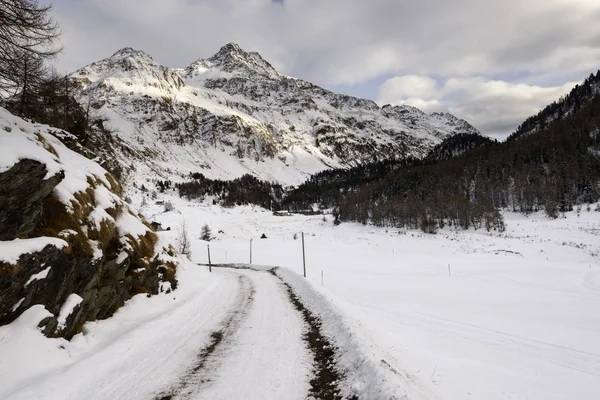 Vista del valle de Valforno cerca del paso de Maloja, Suiza —  Fotos de Stock