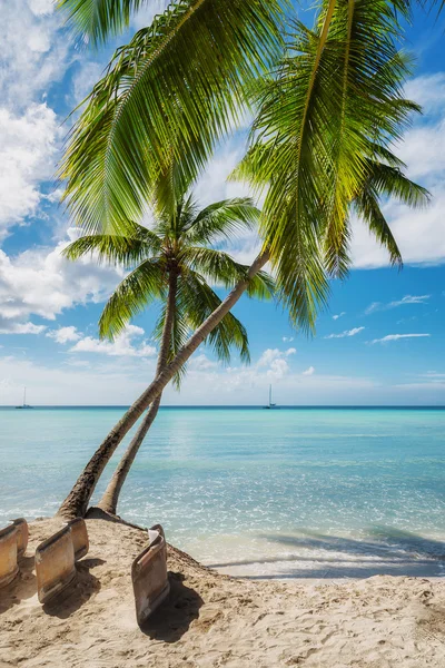 Tropisch strand in Saona island, Dominicaanse Republiek — Stockfoto