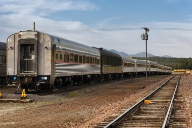 yolcu tren tren istasyonu wagon