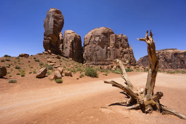 Dead tree and thumb rock formation in Monument Valley, USA — Stock Photo, Image