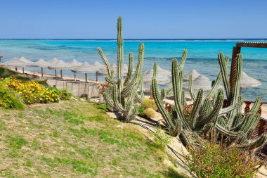 plaj ve deniz Marsa Alam, Red Sea, Mısır