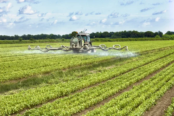 Trekker sproeien van pesticiden op een veld — Stockfoto