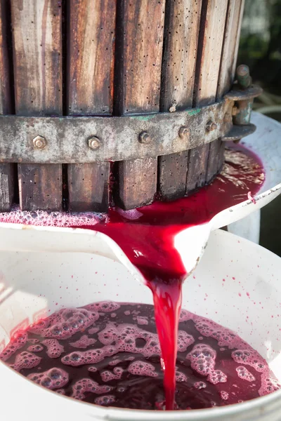 Červené víno hrozny byli rozdrceni v košíku stiskněte v oblasti chianti, Toskánsko, Itálie Stock Obrázky