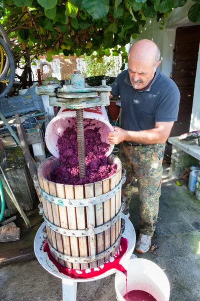 Man making red wine with classic press — Stock Photo, Image