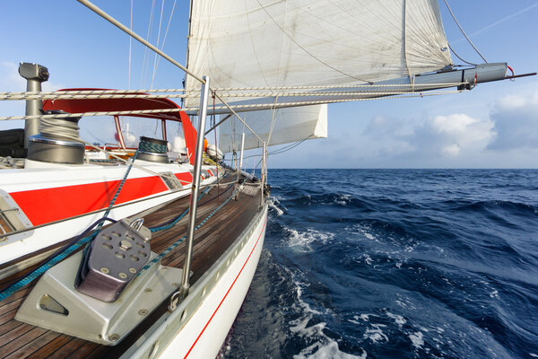 sail boat navigating on the waves