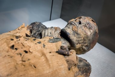 egyptian mummy lying in museum clipart
