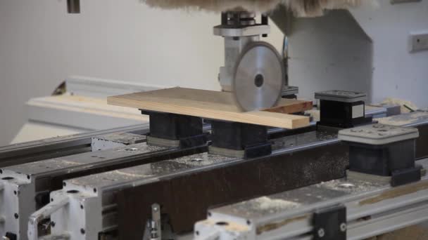 CNC ξύλο είδε μηχανή — Αρχείο Βίντεο