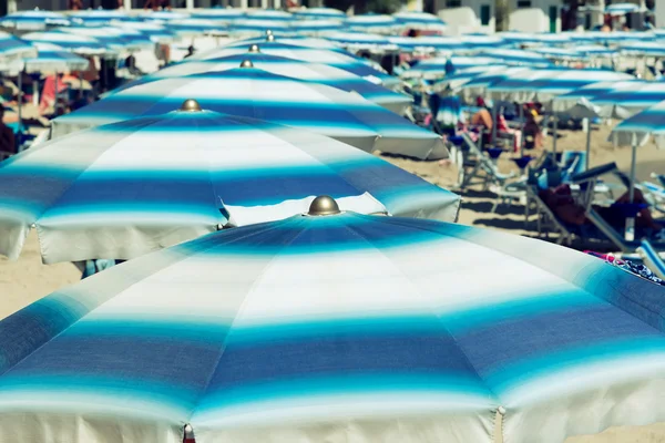 Řada plážových slunečníků — Stock fotografie