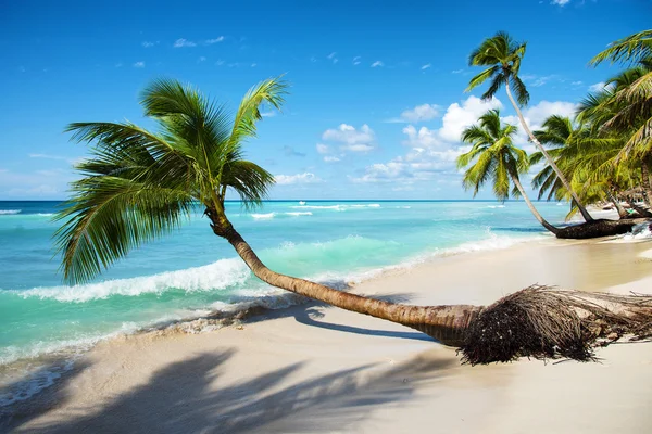 Caraíbas mar tropical — Fotografia de Stock