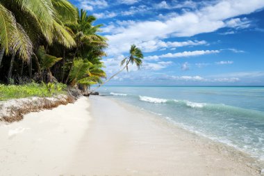 Tropikal plaj Karayip Denizi, Saona Adası, Dominik Cumhuriyeti