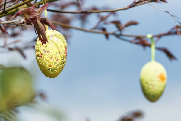 Dos huevos de Pascua en un árbol — Foto de Stock