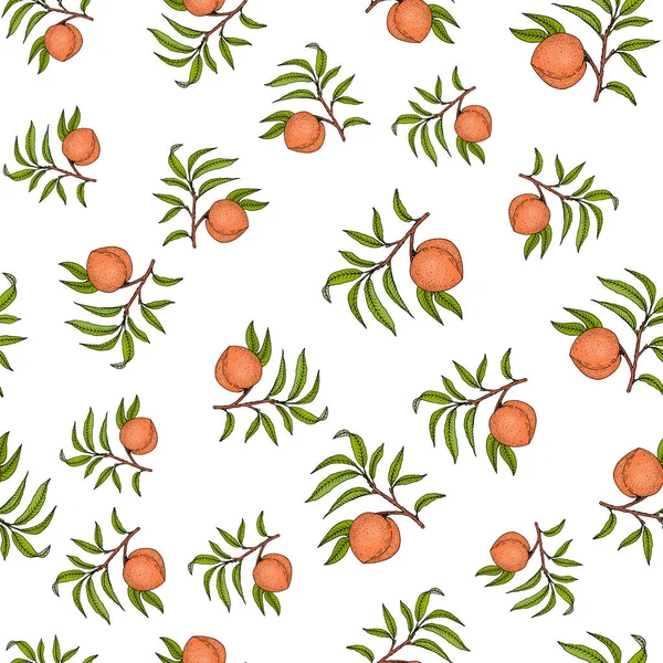 Ροδάκινο κλαδί με φρούτα και φύλλα χωρίς ραφή μοτίβο — Διανυσματικό Αρχείο