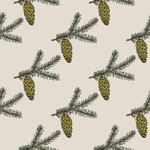 Branche d'épinette de Sitka motif sans couture — Image vectorielle