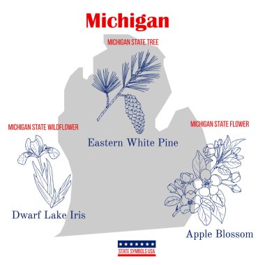 Michigan mı? ABD resmi devlet sembolleri seti