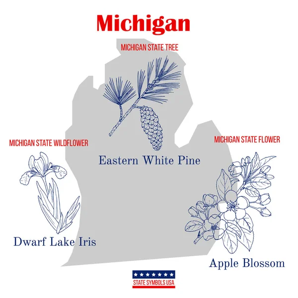 Michigan. Set of USA official state symbols — Stock Vector