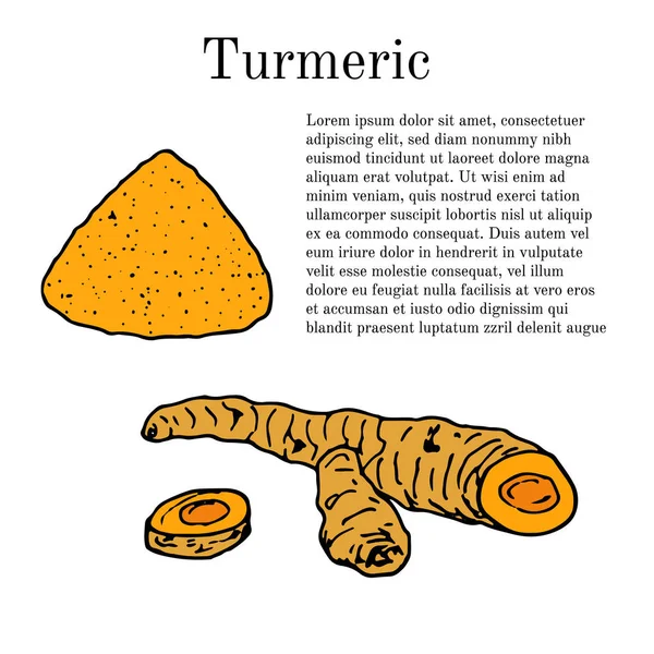 Kök ve zerdeçal curcuma zedoaria tozu 