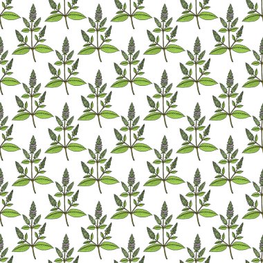 Nane, yenilebilir ve tıbbi bitkilerle kusursuz bir desen.