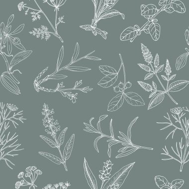 Çiçekli arka plan, el yapımı aromatik bahçe otları, pürüzsüz desenler.