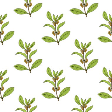 Tatlı osmanthus ile kusursuz desen,