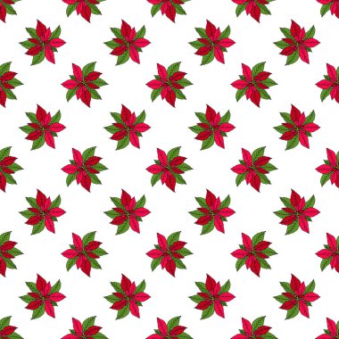 Noktalı kusursuz desen, noel yıldızı bitkisi