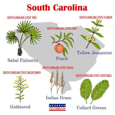 Güney Carolina. ABD resmi devlet sembolleri seti