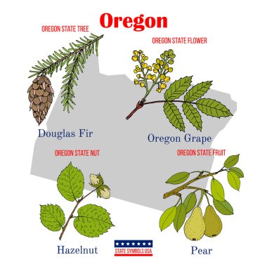 Oregon mu? ABD resmi devlet sembolleri seti