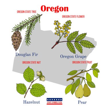 Oregon. Set of USA official state symbols clipart