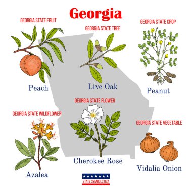 Georgia. Set of USA official state symbols clipart