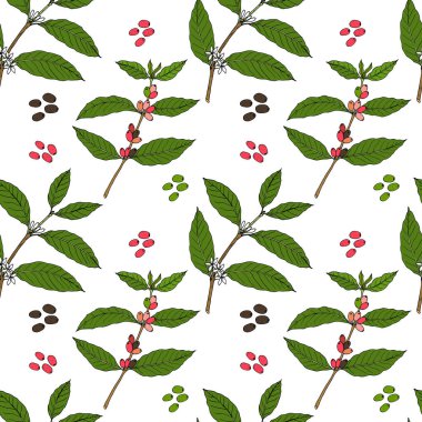 Kahve dalı ve fasulyeli kusursuz desen.