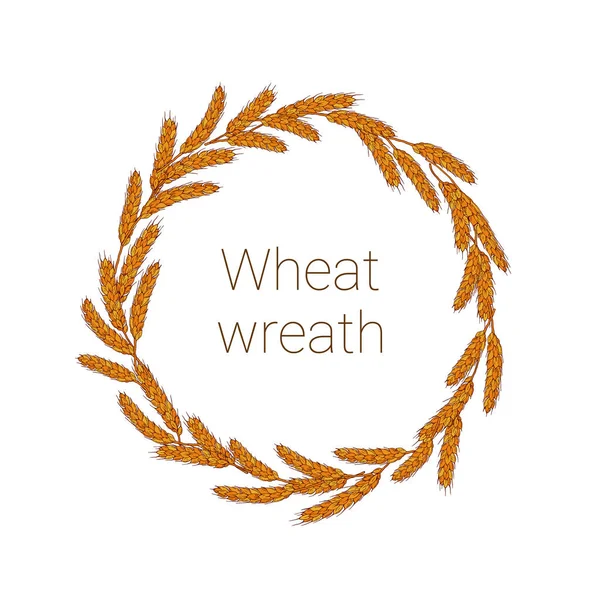Handgezeichneter Weizenährenkranz — Stockvektor