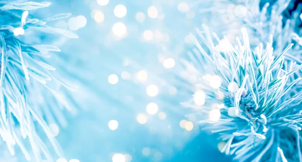 Winter Verschwimmt Hintergrund Mit Bokeh Fichtenzweige Nahaufnahme Weihnachtsbanner — Stockfoto