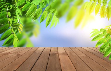 Yaz manzarasının boş arkaplanı. Ahşap masa üstü, mavi gökyüzünün arka planında yeşil yapraklar..