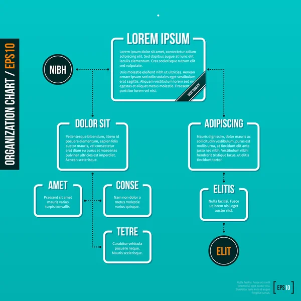 Plantilla organigrama — Vector de stock