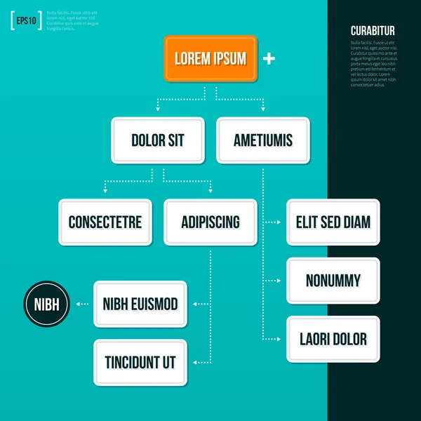 Plantilla organigrama — Vector de stock