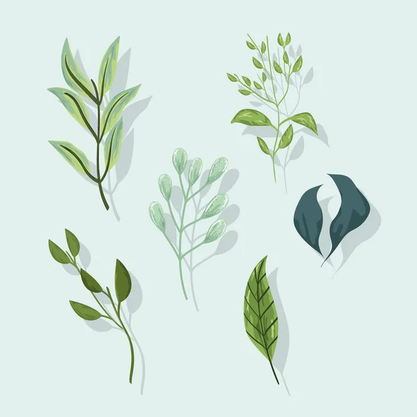 Blad grenar blad natur ekologi set ikoner — Stock vektor