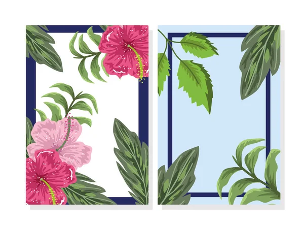 Bloemen hibiscus bladeren natuur botanische spandoeken — Stockvector