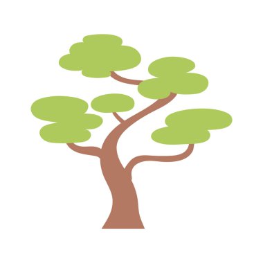 bonsai ağacı botanik oryantal element dekorasyon renk tasarımı