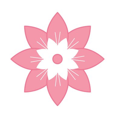 çiçek doğa unsuru renk tasarımı