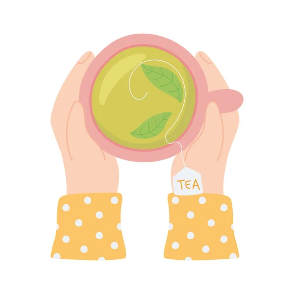 Tea, top view hands with teacup and herbal leaf beverage — Stock Vector