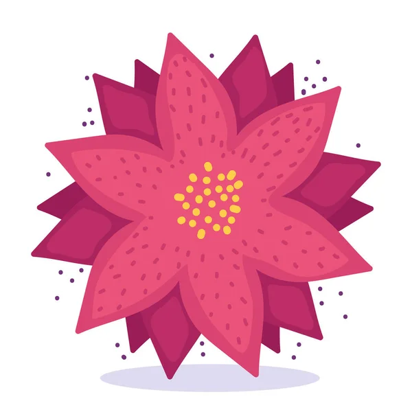 ポインセチアの花の自然装飾漫画のアイコン — ストックベクタ