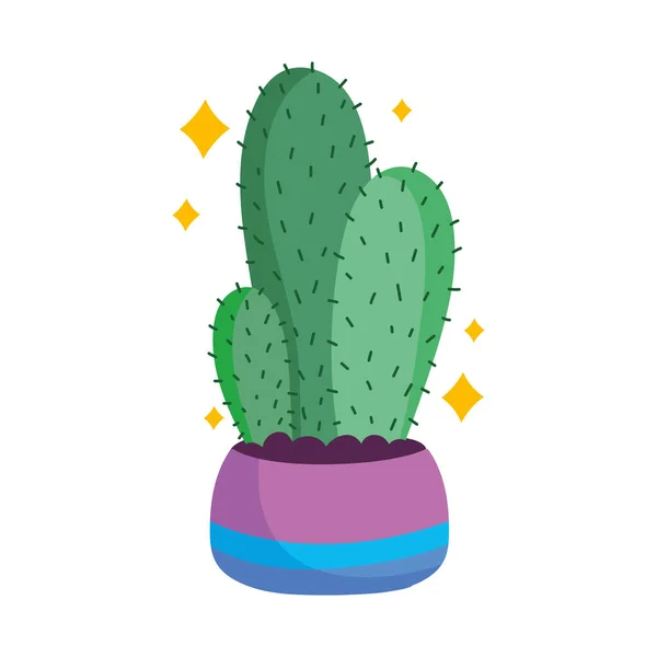 Cactus in pot nature plant decoration icon — Stock Vector