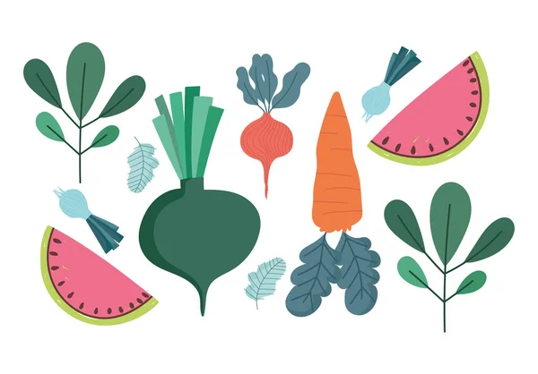 Alimento naturaleza fresca dieta zanahoria cebolla rábano sandía y hojas — Vector de stock
