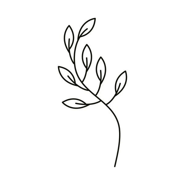 Foglie linea icona stile, ramo fogliame botanica — Vettoriale Stock