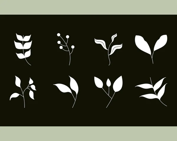 Φύλλα σιλουέτα εικονίδιο στυλ, φύλλωμα και διακόσμηση κλαδιά — Διανυσματικό Αρχείο