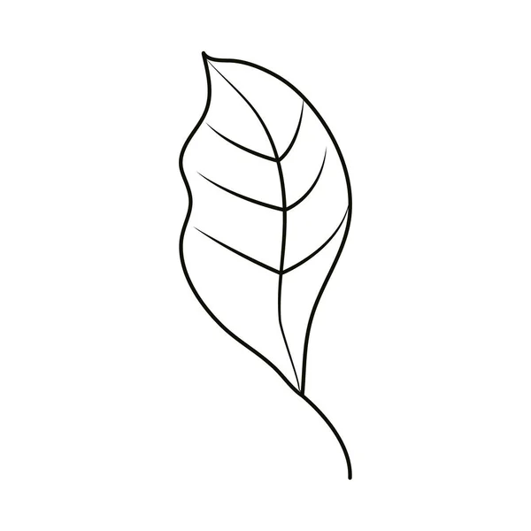 Blätter Linie Ikone Stil, Blatt natürliche Ökologie — Stockvektor