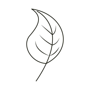 yapraklar çizgi simgesi tarzı, yaprak yaprakları doğal