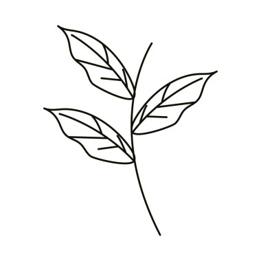 Çizgi simgesi biçimi, ağaç yaprakları botanik